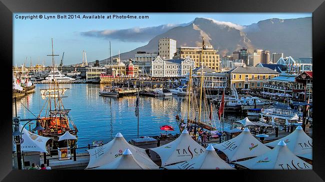 V & A Waterfront Cape Town Framed Print by Lynn Bolt