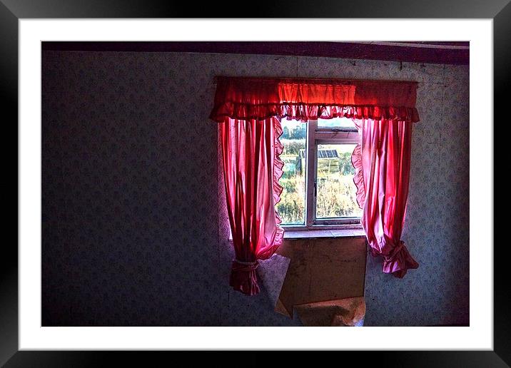 Room with a view Framed Mounted Print by Steven Shea