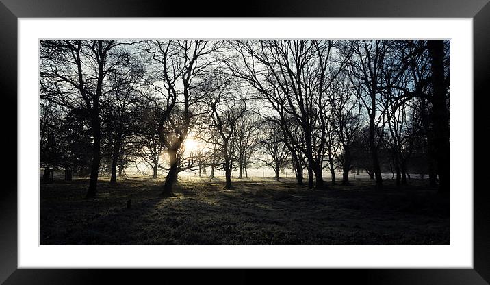 Winter Woodland Framed Mounted Print by Simon Wrigglesworth