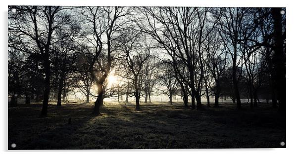 Winter Woodland Acrylic by Simon Wrigglesworth