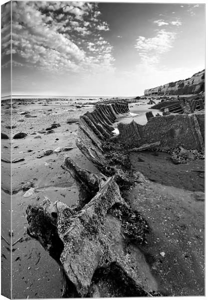 Shipwreck at Hunstanton Canvas Print by Mike French