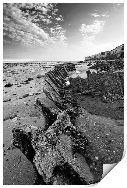 Shipwreck at Hunstanton Print by Mike French