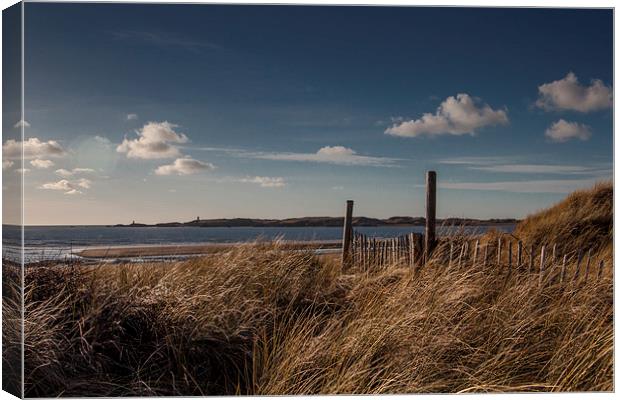 Over The Dunes Canvas Print by Sean Wareing