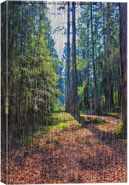 Rain in the Forest Canvas Print by Andy Anderson