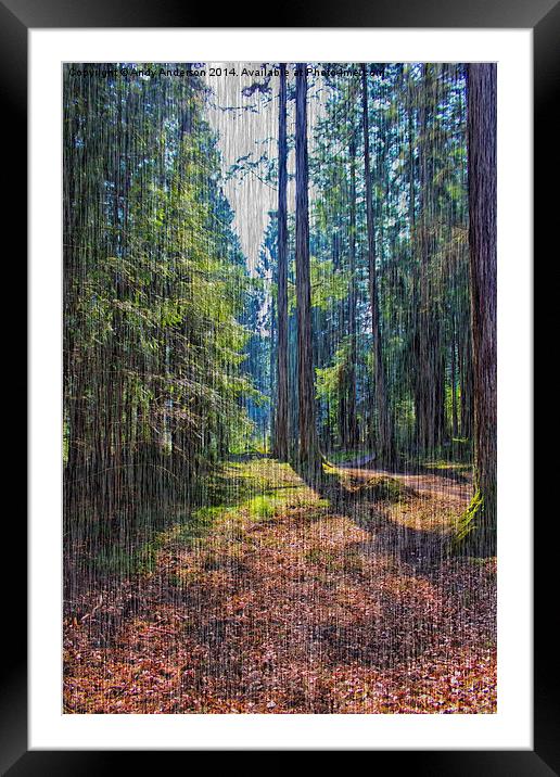 Rain in the Forest Framed Mounted Print by Andy Anderson