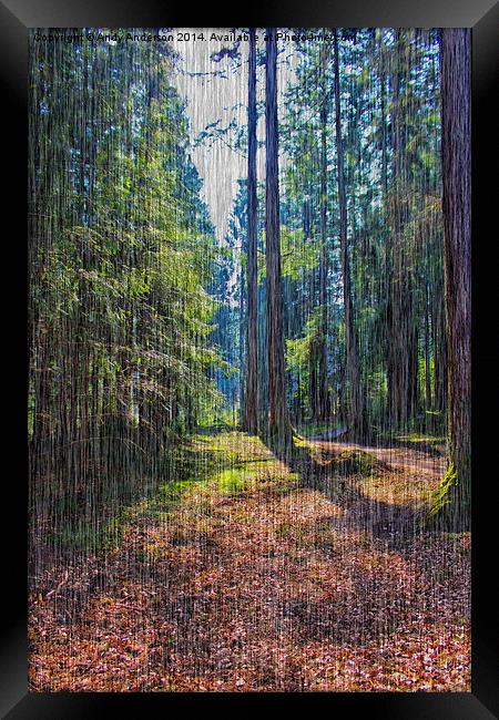 Rain in the Forest Framed Print by Andy Anderson