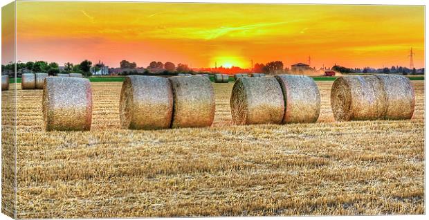 round bales in Modena, Italy Canvas Print by Guido Parmiggiani