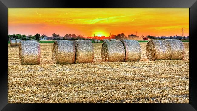 round bales in Modena, Italy Framed Print by Guido Parmiggiani