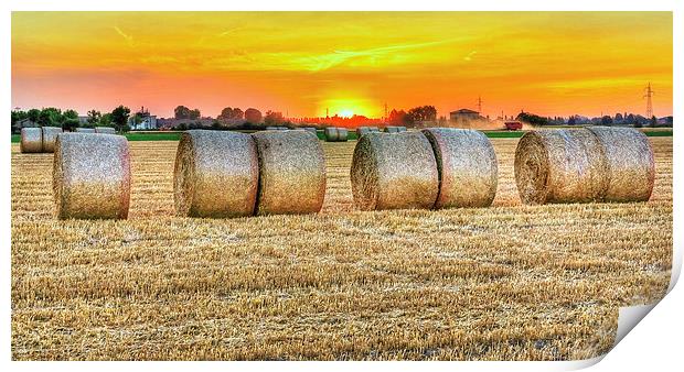 round bales in Modena, Italy Print by Guido Parmiggiani