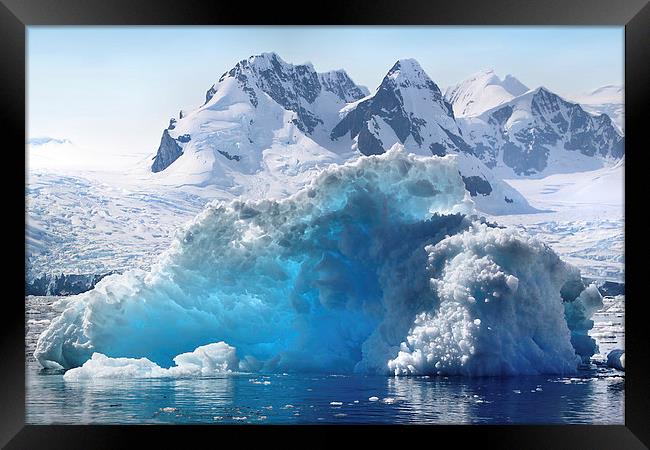 Iceberg in Cierva Cove, Antarctica Framed Print by Carole-Anne Fooks