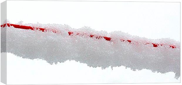 LINE OF ICE Canvas Print by len milner