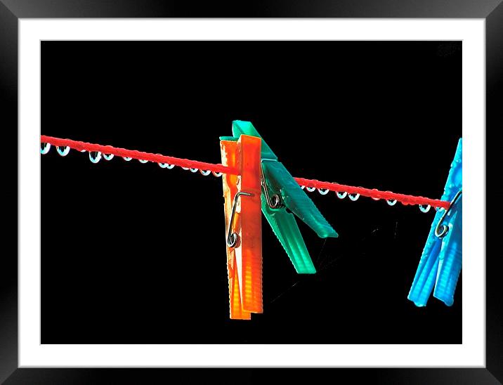 PEGS AT REST Framed Mounted Print by len milner