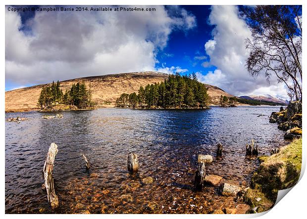 The old steamboat pier, Loch Ossian Print by Campbell Barrie