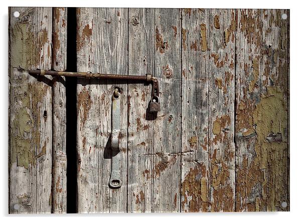 Old door Acrylic by Carl Shellis
