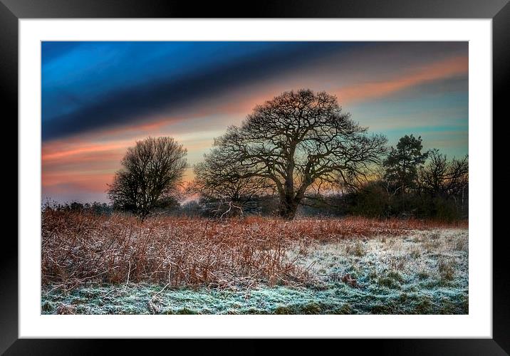 A frosty morning in Norfolk Framed Mounted Print by Gary Pearson