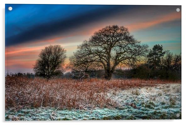 A frosty morning in Norfolk Acrylic by Gary Pearson