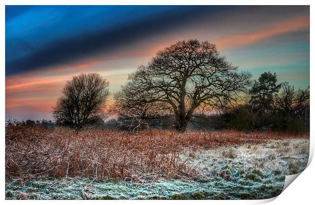 A frosty morning in Norfolk Print by Gary Pearson