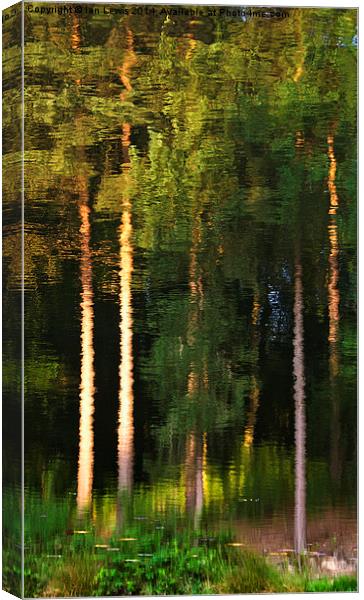 Rippled Trees Canvas Print by Ian Lewis