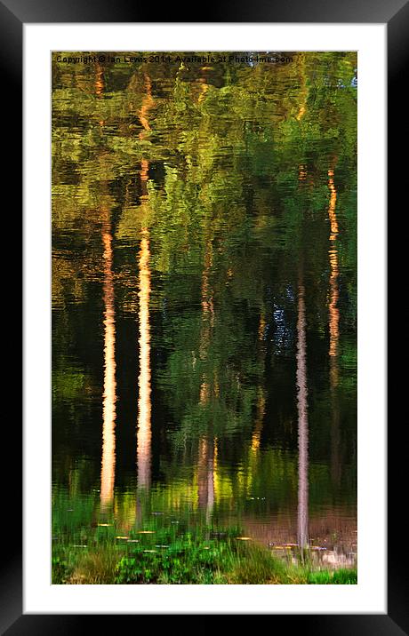 Rippled Trees Framed Mounted Print by Ian Lewis