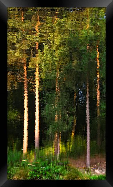 Rippled Trees Framed Print by Ian Lewis