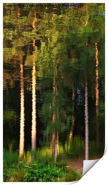 Rippled Trees Print by Ian Lewis