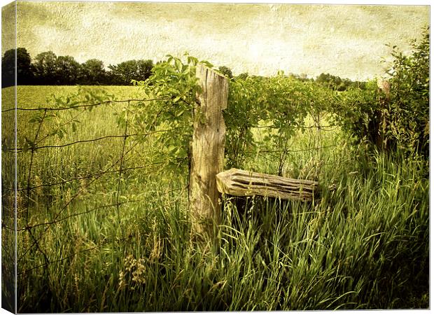 Field Canvas Print by Mary Lane