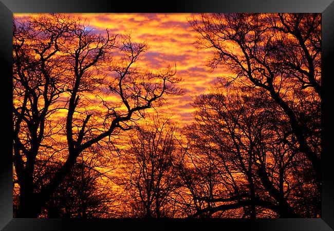 Morning Sky Framed Print by Stuart Gerrett