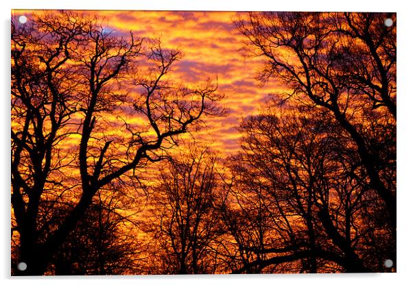Morning Sky Acrylic by Stuart Gerrett