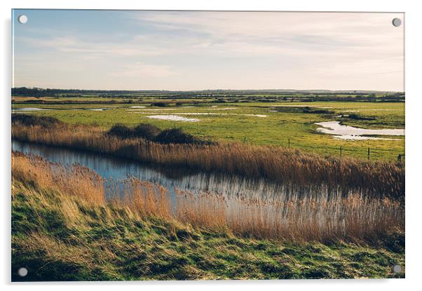 Overy Marsh. Burnham Overy Staithe. Acrylic by Liam Grant