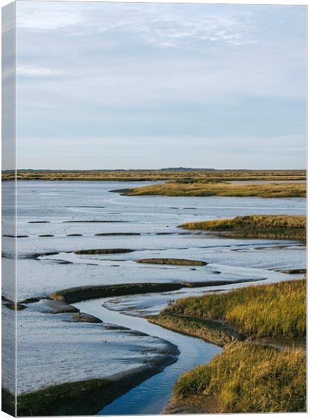 Overy Marsh. Burnham Overy Staithe. Canvas Print by Liam Grant