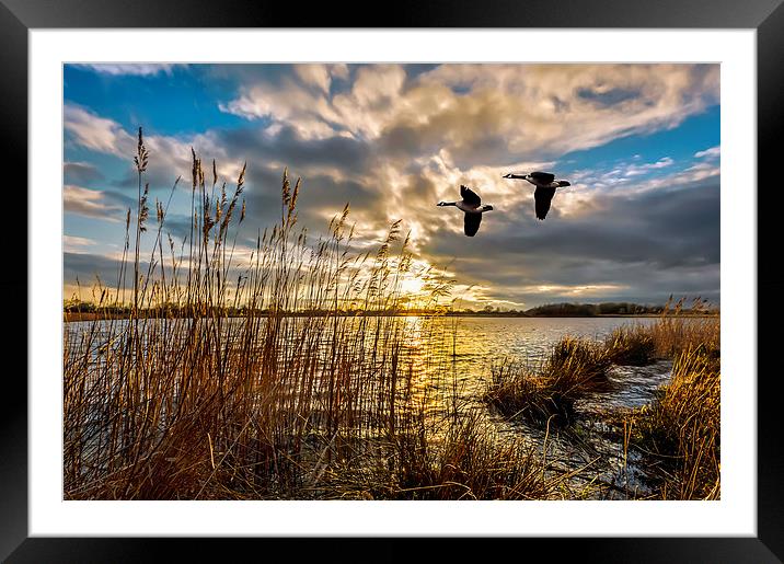 Incoming Framed Mounted Print by mhfore Photography