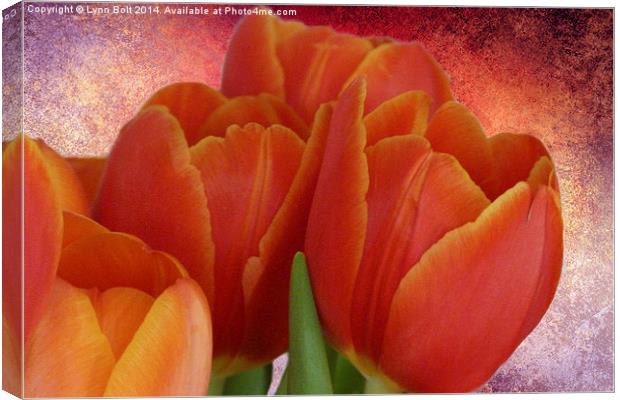 Tulips with Textured Background Canvas Print by Lynn Bolt