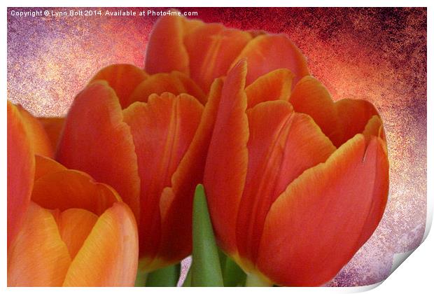 Tulips with Textured Background Print by Lynn Bolt