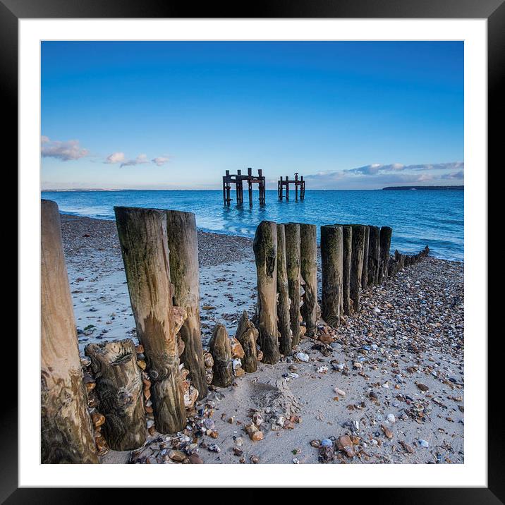 Lepe Dolphins Framed Mounted Print by Phil Wareham