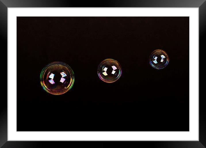 Fun with Bubbles Framed Mounted Print by Corrine Weaver