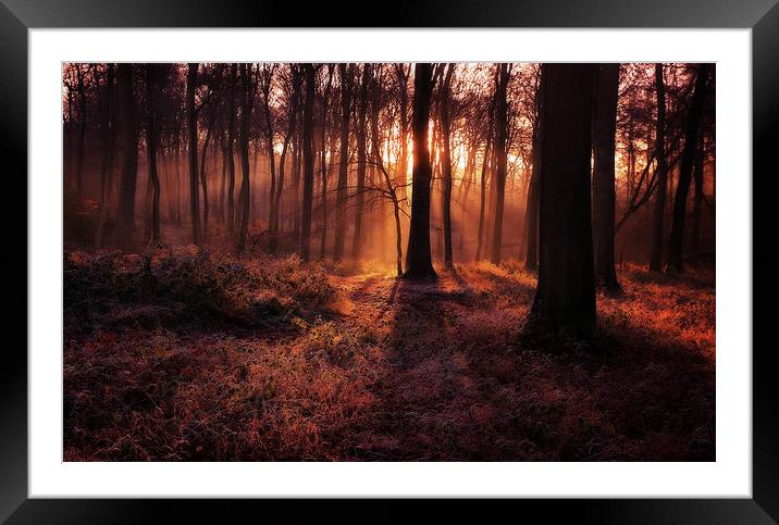 Frosty Morning Woods Framed Mounted Print by Ceri Jones
