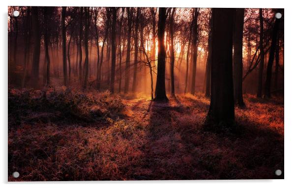 Frosty Morning Woods Acrylic by Ceri Jones