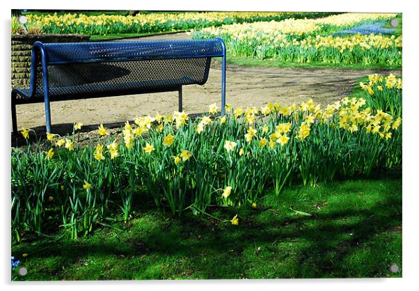 Daffodils and a bench Acrylic by JEAN FITZHUGH