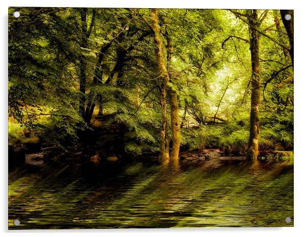 River Dart on Dartmoor National Park Acrylic by Jay Lethbridge