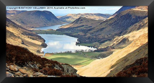 BUTTERMERE AND CRUMMOCK WATER Framed Print by Anthony Kellaway
