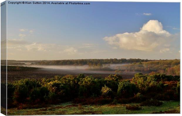 New Forest Misty Morn Canvas Print by Alan Sutton