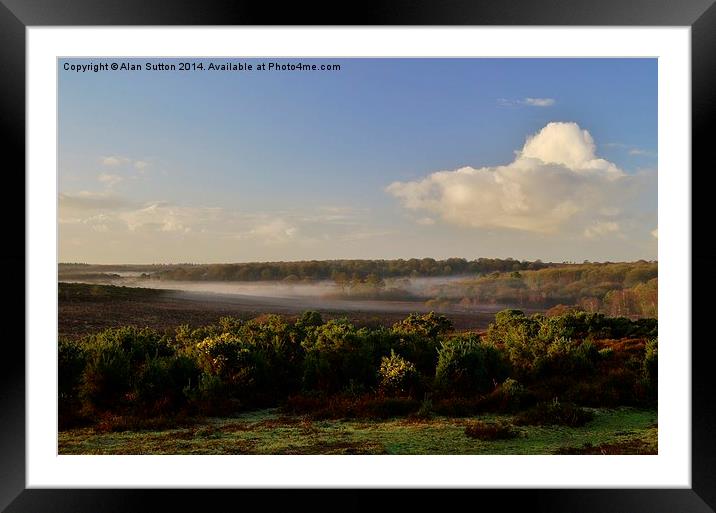 New Forest Misty Morn Framed Mounted Print by Alan Sutton