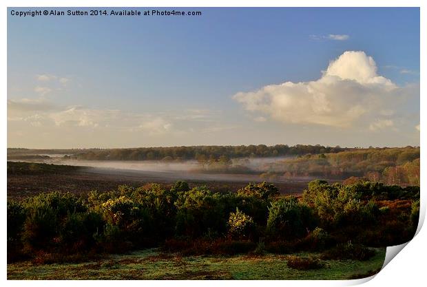 New Forest Misty Morn Print by Alan Sutton