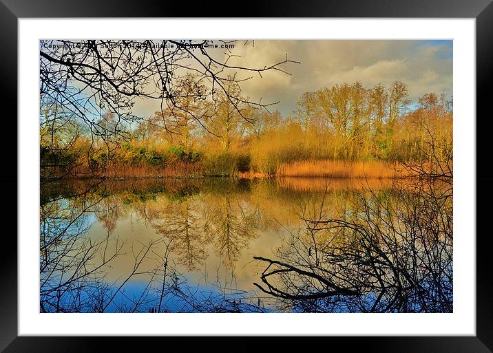 Reflections HDR Framed Mounted Print by Alan Sutton