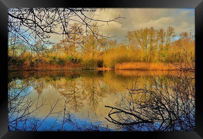 Reflections HDR Framed Print by Alan Sutton