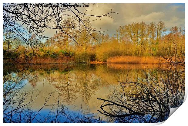 Reflections HDR Print by Alan Sutton