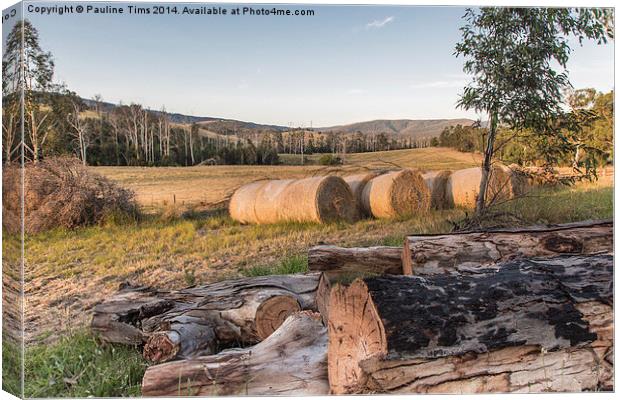 Strathewan Victoria Australia Canvas Print by Pauline Tims