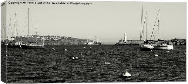 Brixham Outer Harbour Canvas Print by Peter F Hunt