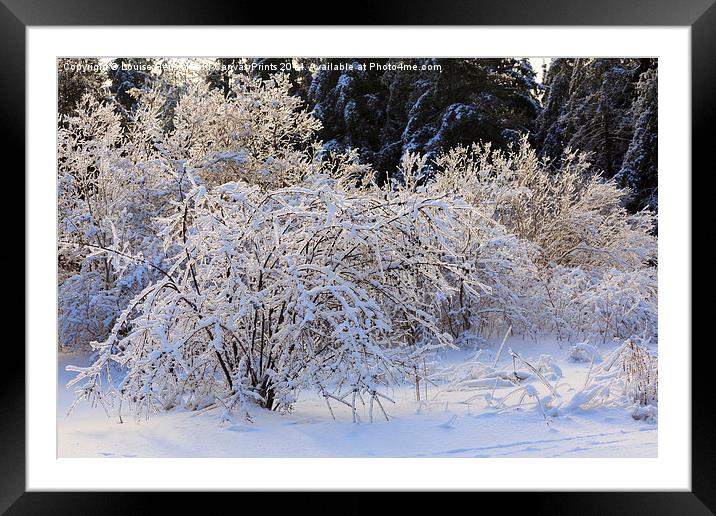 Snow and Ice Framed Mounted Print by Louise Heusinkveld