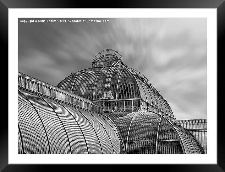Temperate House Kew Gardens Black and White Framed Mounted Print by Chris Thaxter